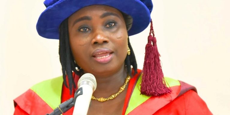 UI Deputy Vice-Chancellor canvasses trans-disciplinary approach to produce competitive students