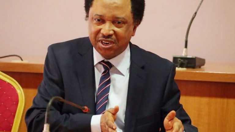 2023 Presidency: Shehu Sani speaks on why north should allow south to take over