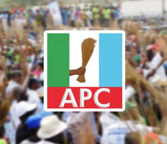 APC Professionals Council Targets 3,000 Beneficiaries In Tuition Free Scholarships To Tertiary Institutions