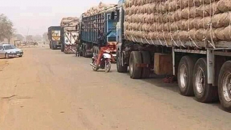 Smuggling: Customs Seizes 15 Trucks Loaded With Food Items In Sokoto
