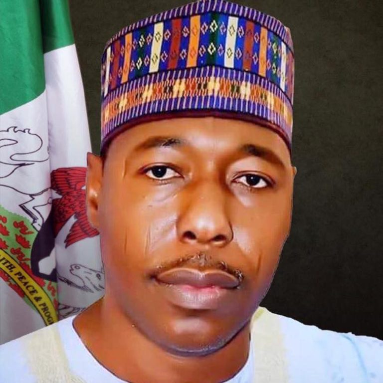Repentant Boko Haram terrorists swore by Quran, they can’t return to the bush to fight – Borno Govt