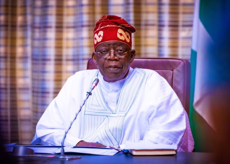 Tinubu Appoints New Members Of FGN Power Management Team