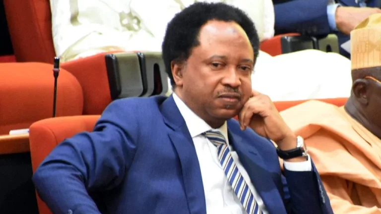Looting Of NEMA Warehouse, Symptom Of Impending Revolution – Shehu Sani Warns