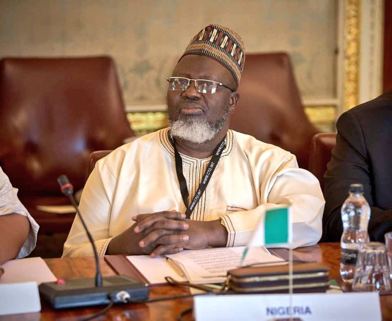 Give Bandits A Promising Future – Adebayo Shittu Tells FG –