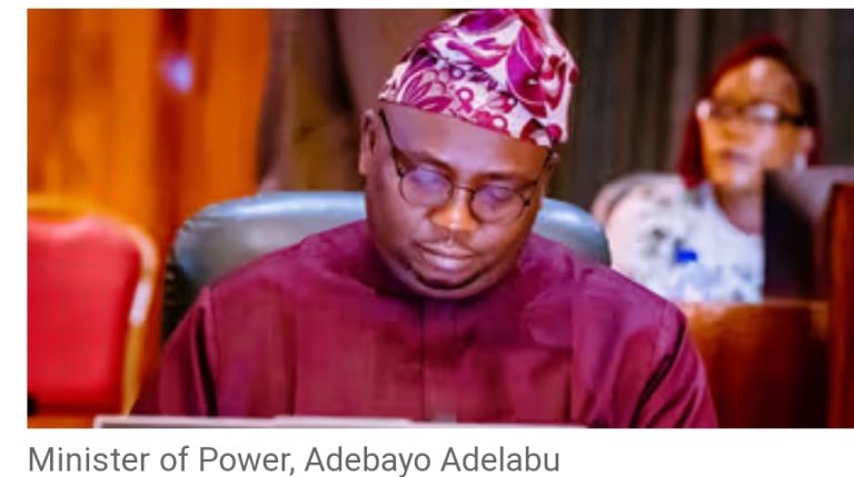 The Minister of Power, Adebayo Adelabu has recommended capital punishment for vandals and theft of power infrastructure.