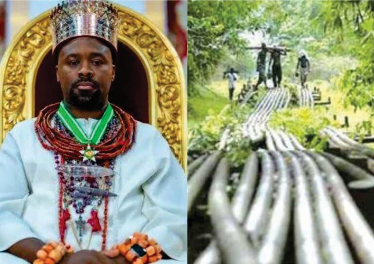 N’Delta Group warn deviant Ijaw groups to stop blackmailing Olu of Warri