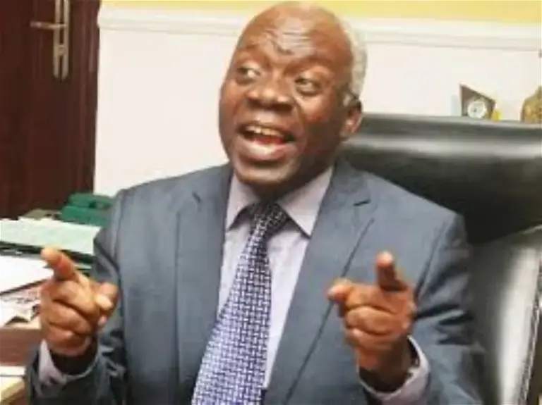 Emirate Tussle: Judicial Orders In Kano Embarrassment To Judiciary — Falana