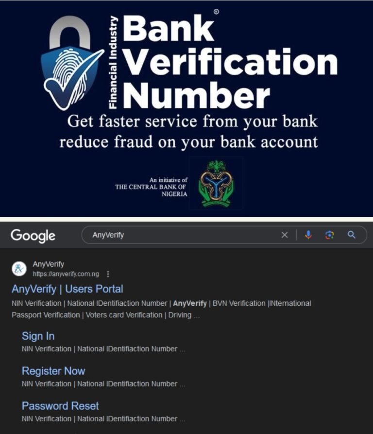 BVN, NIN Details Available On AnyVerify For ₦100