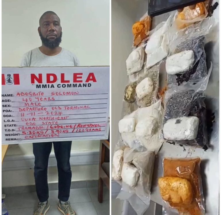 NDLEA Intercepts Hard Drugs Concealed In Food Items, Arrest Masterminds At MMIA,