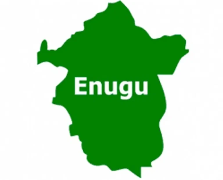 Council Chairmen Halt FG’s ₦‎40 Billion Methanol Plant Project In Enugu