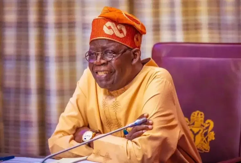 Northern Elders, Others Knock Tinubu For Insisting On Tax Bills