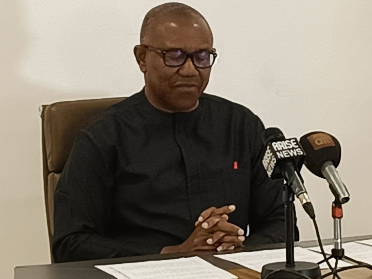 2027: No Merger Deal With PDP, NNPP Yet – Peter Obi