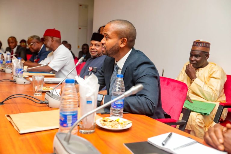 Don’t Fail Nigerians, Senate Tells NWDC, SEDC Nominees