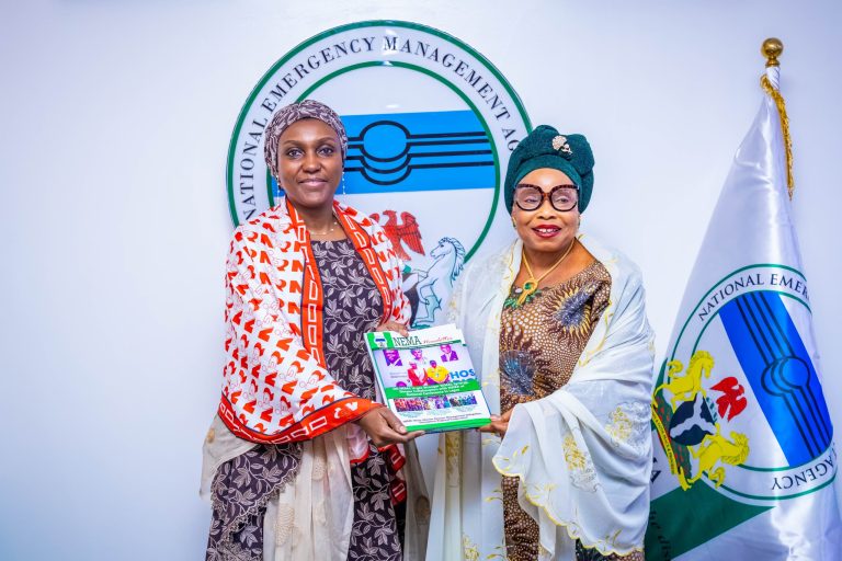 IWD 2026: NIPR Secures NEMA’s Partnership